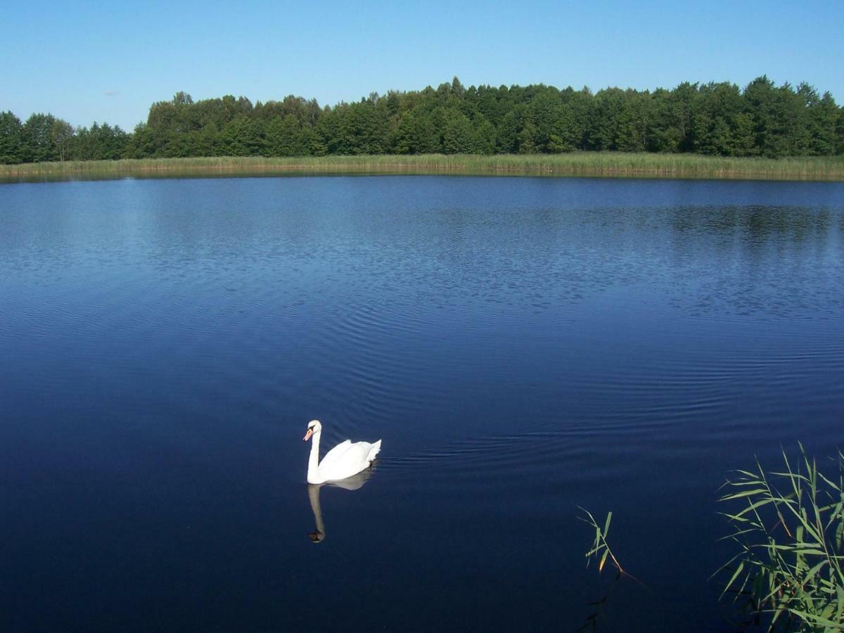 Domwigierski Pl -Jeziorki -Gr- Comfort-Ferienhaus-Polen - Wlasna Linia Brzegowa I Sauna Wysoki Most  المظهر الخارجي الصورة