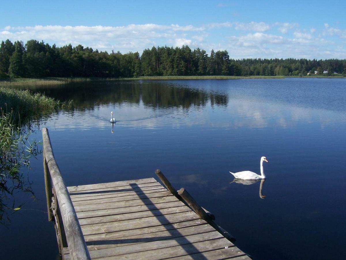 Domwigierski Pl -Jeziorki -Gr- Comfort-Ferienhaus-Polen - Wlasna Linia Brzegowa I Sauna Wysoki Most  المظهر الخارجي الصورة
