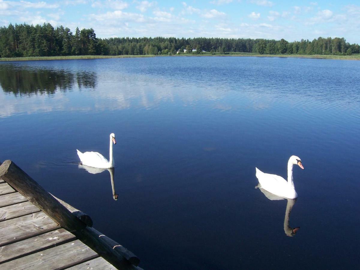 Domwigierski Pl -Jeziorki -Gr- Comfort-Ferienhaus-Polen - Wlasna Linia Brzegowa I Sauna Wysoki Most  المظهر الخارجي الصورة