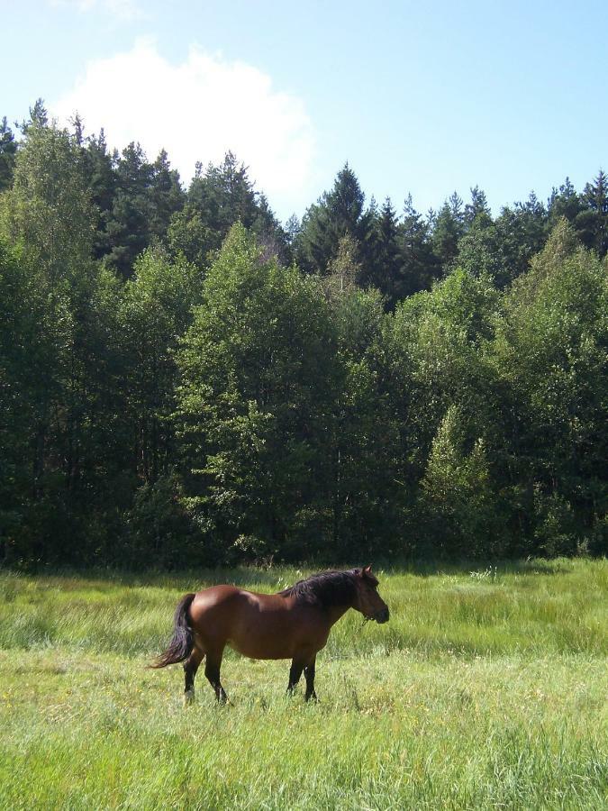Domwigierski Pl -Jeziorki -Gr- Comfort-Ferienhaus-Polen - Wlasna Linia Brzegowa I Sauna Wysoki Most  المظهر الخارجي الصورة