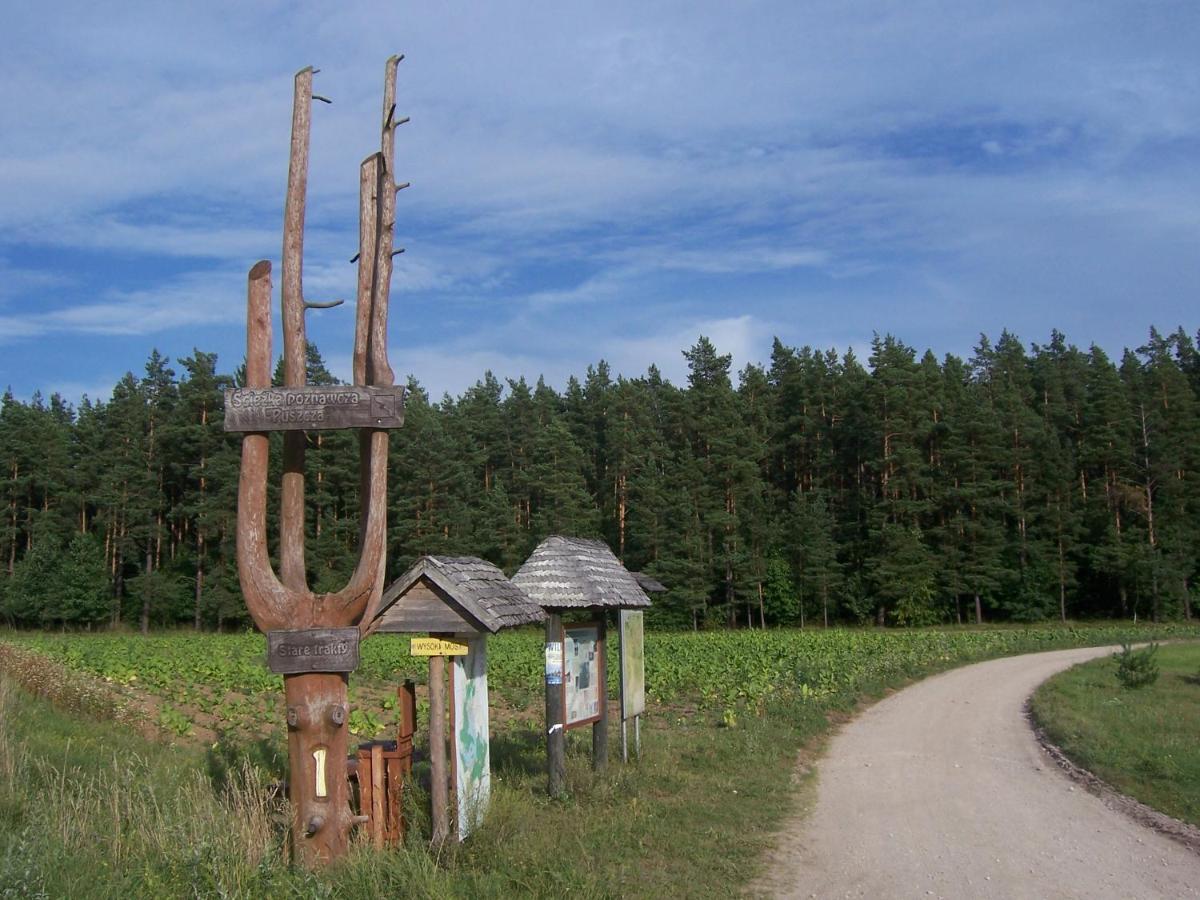 Domwigierski Pl -Jeziorki -Gr- Comfort-Ferienhaus-Polen - Wlasna Linia Brzegowa I Sauna Wysoki Most  الغرفة الصورة